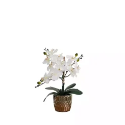 Arrangements & Greenery>Kirklands Home Orchid Arrangement in Gold Decorative Pot