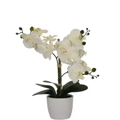 Arrangements & Greenery>Kirklands Home Orchid Arrangement in Decorative Pot White