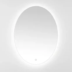Kirklands Home Oval Nolan LED Wall Mirror Sale