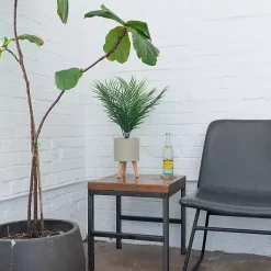 Arrangements & Greenery>Kirklands Home Palm Arrangement in Tan Footed Pot