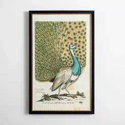 Kirklands Home Peacock Framed Wall Art Best