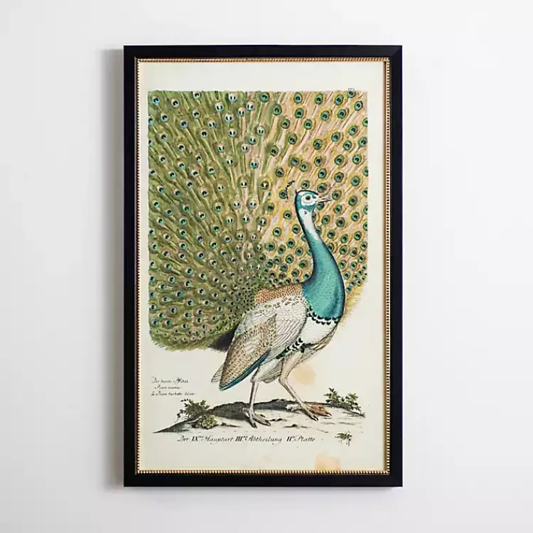 Kirklands Home Peacock Framed Wall Art Best