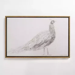 Kirklands Home Peacock Sketch Framed Canvas Art Print White Discount