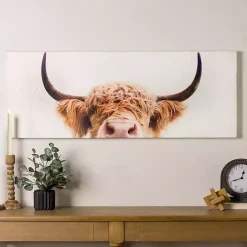 Kirklands Home Peek-A-Boo Cow Canvas Art Print New