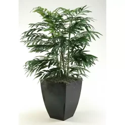 Trees & Topiaries>Kirklands Home Phoenix Palm Tree in Black Planter