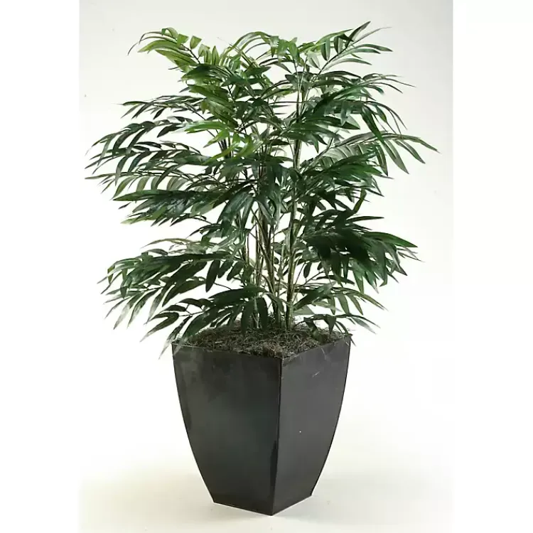 Trees & Topiaries>Kirklands Home Phoenix Palm Tree in Black Planter