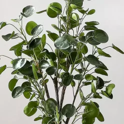 Trees & Topiaries><noscript><img width=