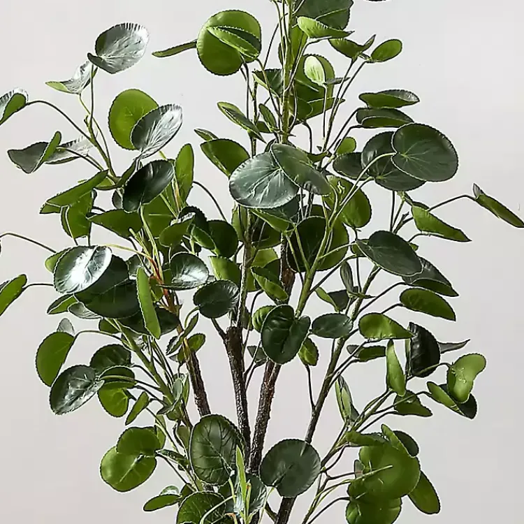 Trees & Topiaries>Kirklands Home Polyscias Fruiticosa in White Pot