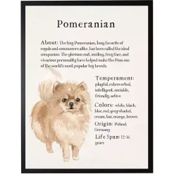 Kirklands Home Pomeranian Facts Framed Wall Plaque Sale