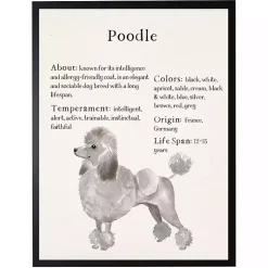 Kirklands Home Poodle Facts Framed Wall Plaque Online