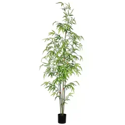 Trees & Topiaries>Kirklands Home Potted Bamboo Tree, 5 ft.