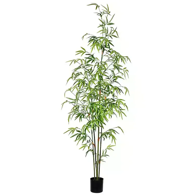 Trees & Topiaries>Kirklands Home Potted Bamboo Tree, 5 ft.