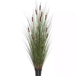 Trees & Topiaries>Kirklands Home Potted Brown Cats Tails Grass, 48 in.