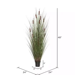 Trees & Topiaries><noscript><img width=