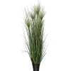 Trees & Topiaries>Kirklands Home Potted Green Grass, 36 in.