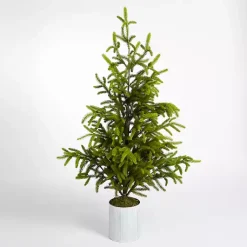 Christmas Trees>Kirklands Home Potted Norway Spruce Christmas Tree, 60 in.