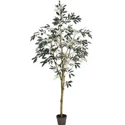 Trees & Topiaries>Kirklands Home Potted Olive Branch Tree, 6 ft.