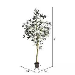 Trees & Topiaries><noscript><img width=