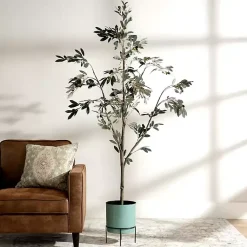 Trees & Topiaries><noscript><img width=