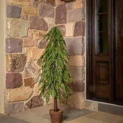 Christmas Arrangements & Garland>Kirklands Home Potted Soft Touch Norfolk Pine Tree, 48 in. Green