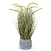 Trees & Topiaries>Kirklands Home Prairie Grass in Pot