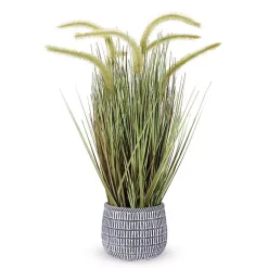 Trees & Topiaries>Kirklands Home Prairie Grass in Pot