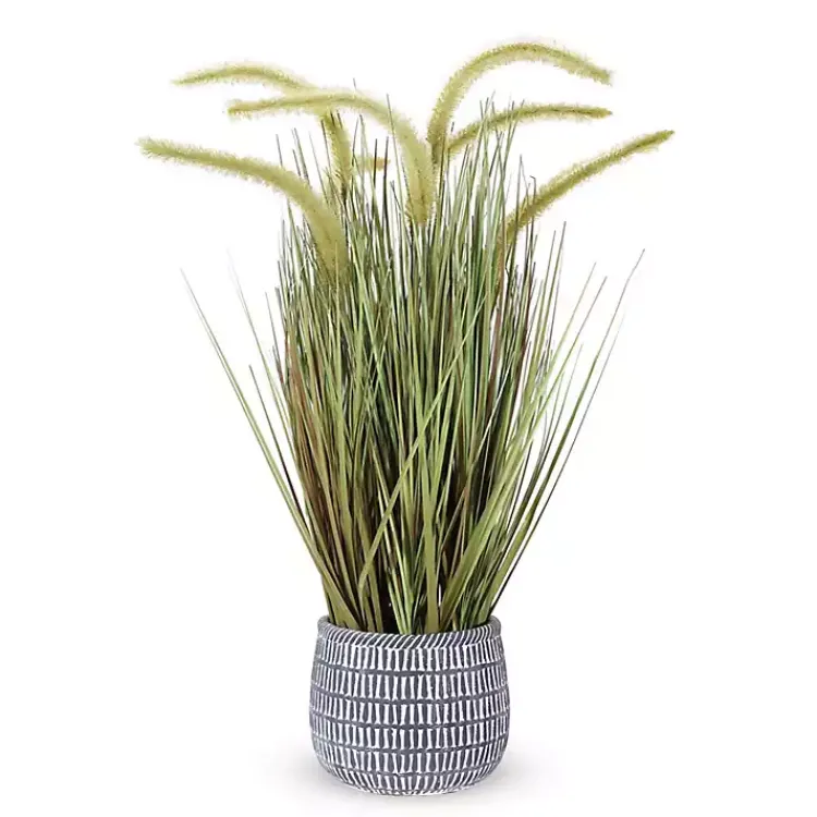 Trees & Topiaries>Kirklands Home Prairie Grass in Pot