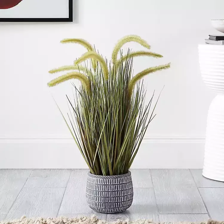 Trees & Topiaries>Kirklands Home Prairie Grass in Pot