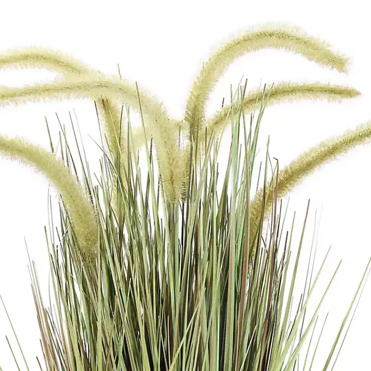 Trees & Topiaries>Kirklands Home Prairie Grass in Pot