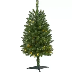 Christmas Trees>Kirklands Home Pre-lit 3 ft. Green Mountain Pine Christmas Tree