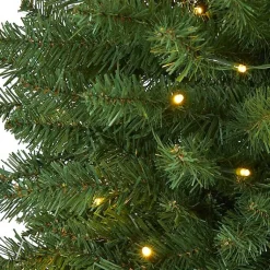 Christmas Trees><noscript><img width=