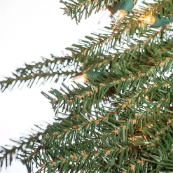 Christmas Trees><noscript><img width=
