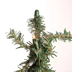 Christmas Trees><noscript><img width=