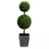 Trees & Topiaries>Kirklands Home Pre-Lit Double Boxwood Topiary in Planter, 3 ft.