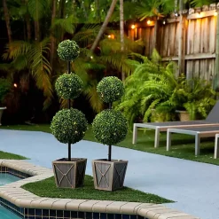 Trees & Topiaries><noscript><img width=