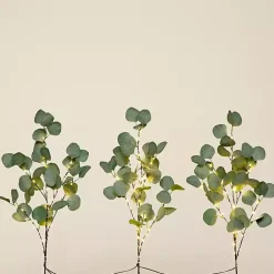 Stems & Bouquets><noscript><img width=