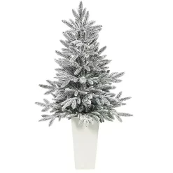 Christmas Trees><noscript><img width=