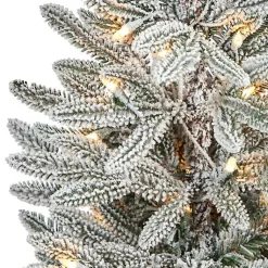 Christmas Trees><noscript><img width=