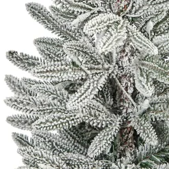 Christmas Trees><noscript><img width=