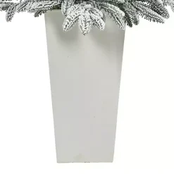 Christmas Trees><noscript><img width=