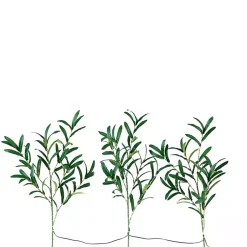 Stems & Bouquets>Kirklands Home Pre-Lit Olive Branch 3-pc. Bouquet Green