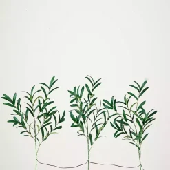 Stems & Bouquets><noscript><img width=