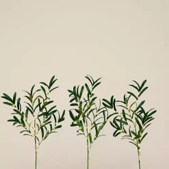 Stems & Bouquets><noscript><img width=