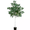 Trees & Topiaries>Kirklands Home Pre-Lit Warm LED Birch Tree, 5 ft.