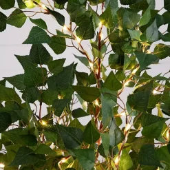 Trees & Topiaries><noscript><img width=
