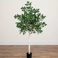 Trees & Topiaries><noscript><img width=