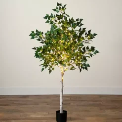 Trees & Topiaries><noscript><img width=