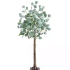 Trees & Topiaries>Kirklands Home Pre-Lit Warm LED Eucalyptus Plant, 4 ft.