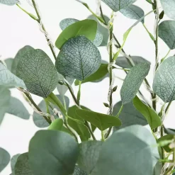Trees & Topiaries>Kirklands Home Pre-Lit Warm LED Eucalyptus Plant, 4 ft.