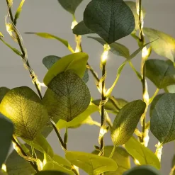 Trees & Topiaries><noscript><img width=
